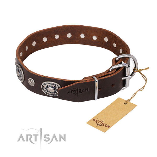 Fashionable leather collar for your handsome dog