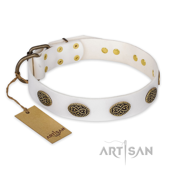 Top notch design embellishments on leather dog collar