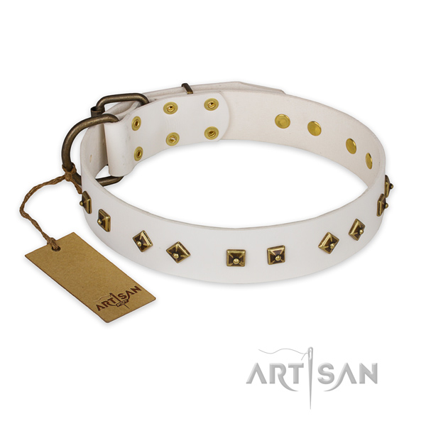 Top notch design embellishments on natural genuine leather dog collar