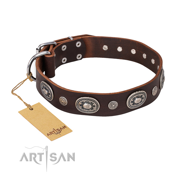 Unusual design decorations on leather dog collar