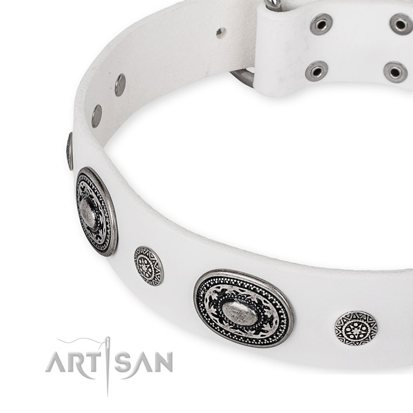 Quick to fasten leather dog collar with resistant durable fittings