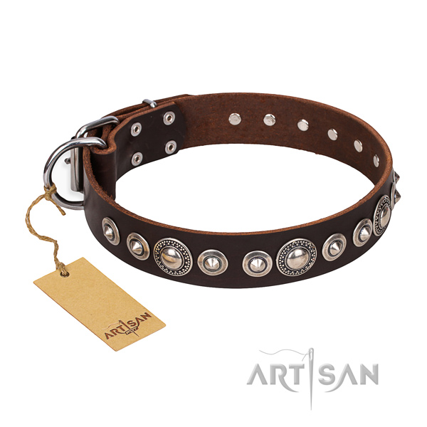 Reliable leather dog collar with rust-resistant hardware