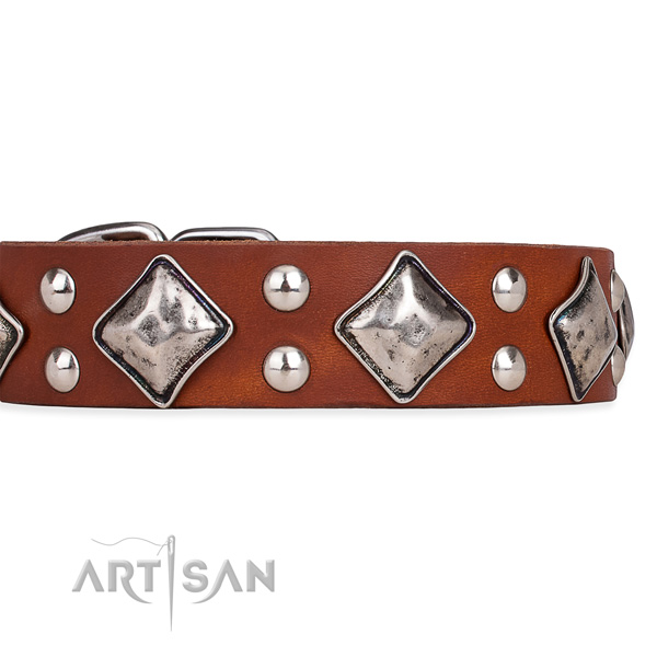 Adjustable leather dog collar with extra sturdy non-rusting fittings