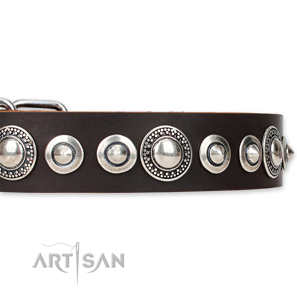 Quick to fasten leather dog collar with extra strong chrome plated fittings