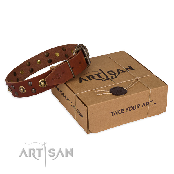 Trendy full grain natural leather dog collar for walking in style