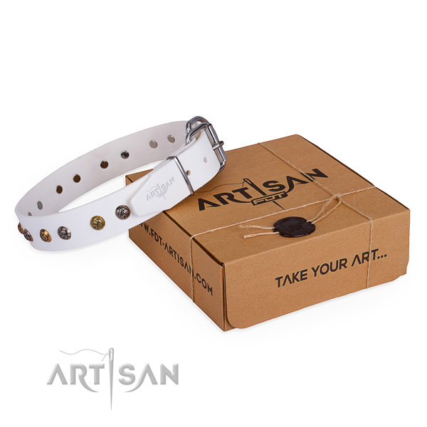 Fashionable genuine leather dog collar for everyday use