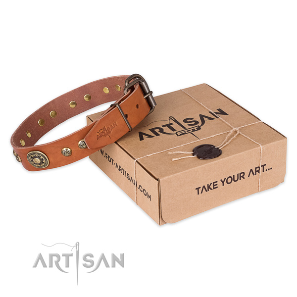 Impressive full grain genuine leather dog collar for everyday walking