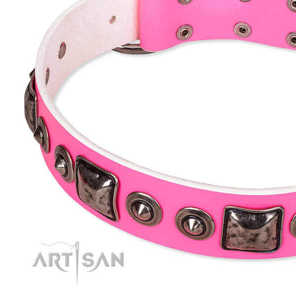 Snugly fitted leather dog collar with resistant to tear and wear non-rusting hardware