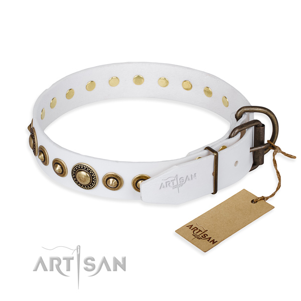 Versatile leather collar for your gorgeous four-legged friend