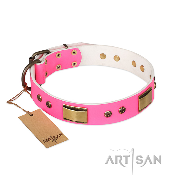 Awesome design embellishments on genuine leather dog collar