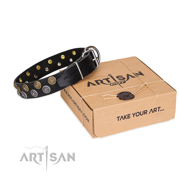 Everyday leather dog collar with refined decorations