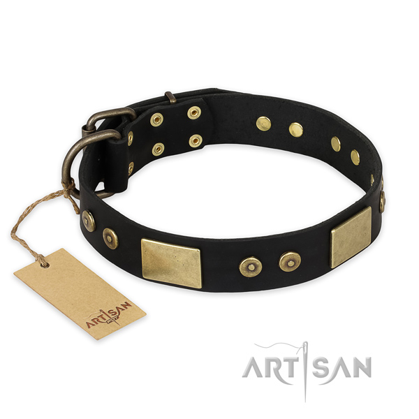 Impressive design adornments on full grain genuine leather dog collar