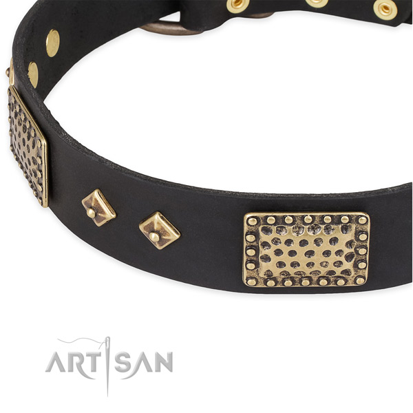 Everyday walking leather collar with strong buckle and D-ring