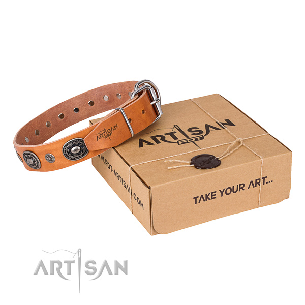 Incredible full grain leather dog collar for stylish walks