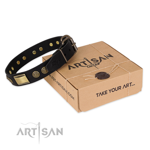 Finest quality full grain natural leather dog collar for daily use