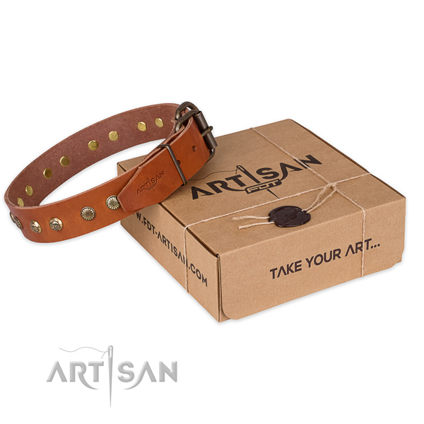 Stylish natural genuine leather dog collar for daily walking