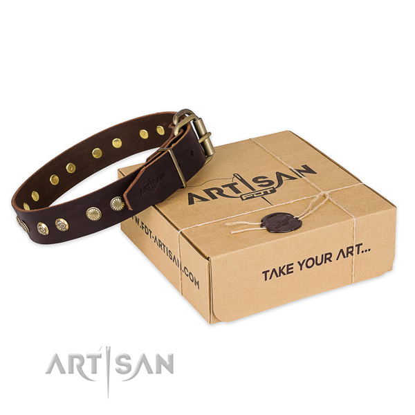Awesome full grain genuine leather dog collar for everyday walking