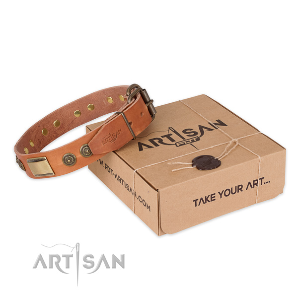 Fashionable full grain natural leather dog collar for daily use