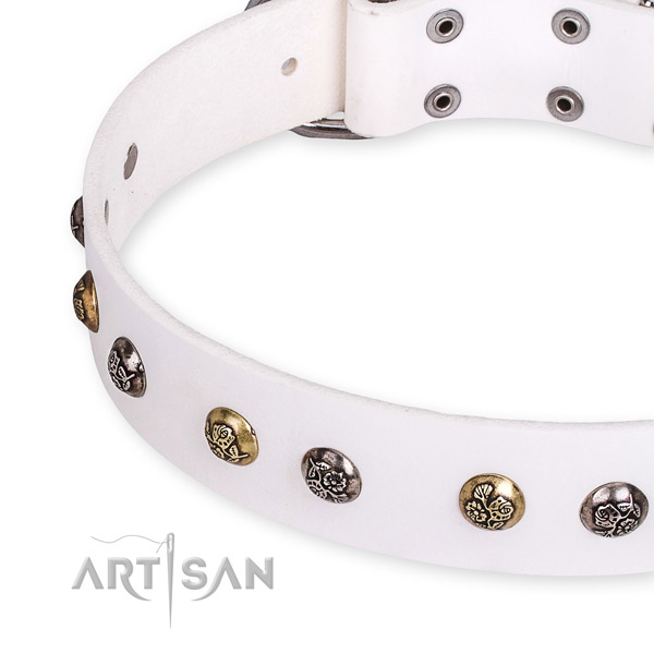 Quick to fasten leather dog collar with extra sturdy rust-proof buckle and D-ring