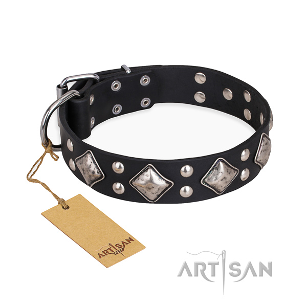 Unique design adornments on full grain natural leather dog collar
