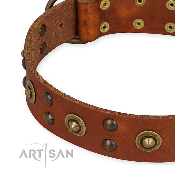 Easy to put on/off leather dog collar with extra sturdy rust-proof buckle