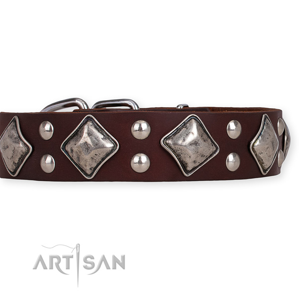 Easy to adjust leather dog collar with almost unbreakable brass plated fittings