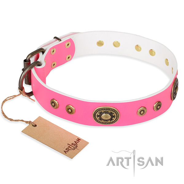 Long-wearing leather dog collar with non-corrosive fittings