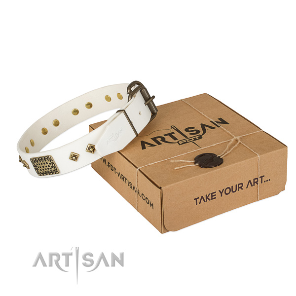 Stylish full grain leather dog collar for daily walking