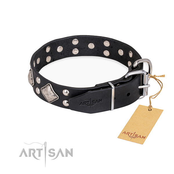 Wear-proof leather collar for your gorgeous canine