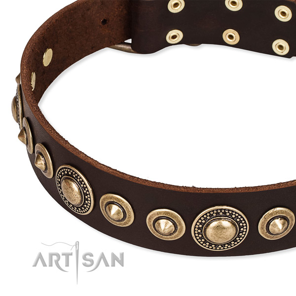 Easy to adjust leather dog collar with resistant to tear and wear durable set of hardware