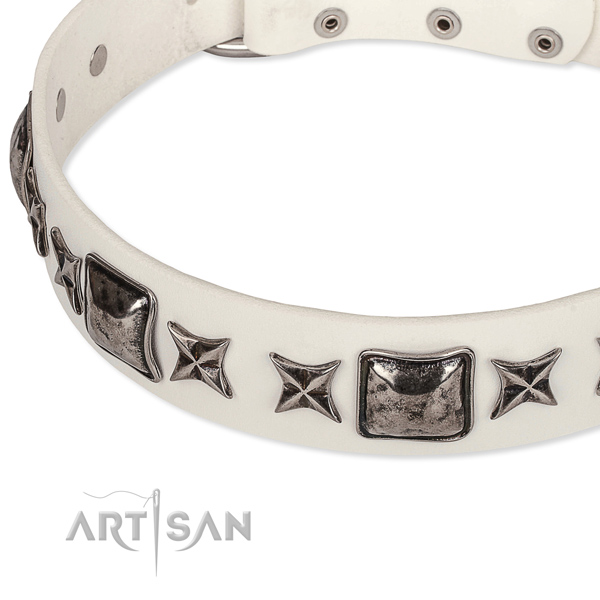 Adjustable leather dog collar with extra strong non-rusting hardware