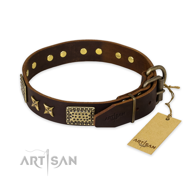 Incredible design adornments on full grain natural leather dog collar