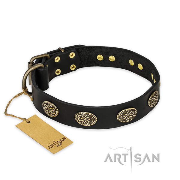 Remarkable design studs on full grain natural leather dog collar