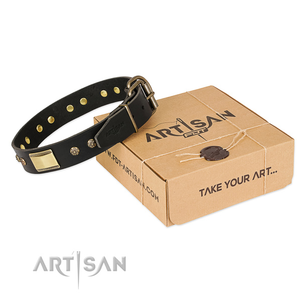 Impressive genuine leather dog collar for walking in style