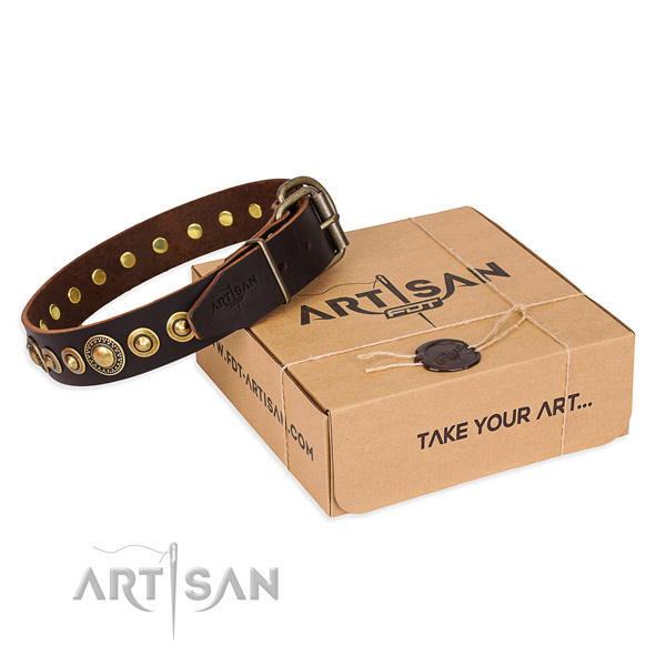 Incredible full grain genuine leather dog collar for walking in style