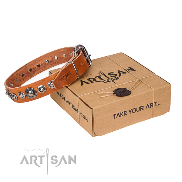Fine quality genuine leather dog collar for stylish walks