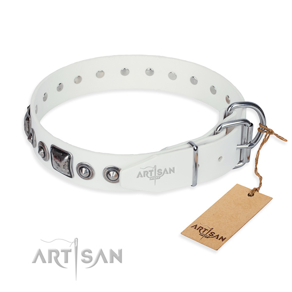 Everyday leather collar for your noble dog