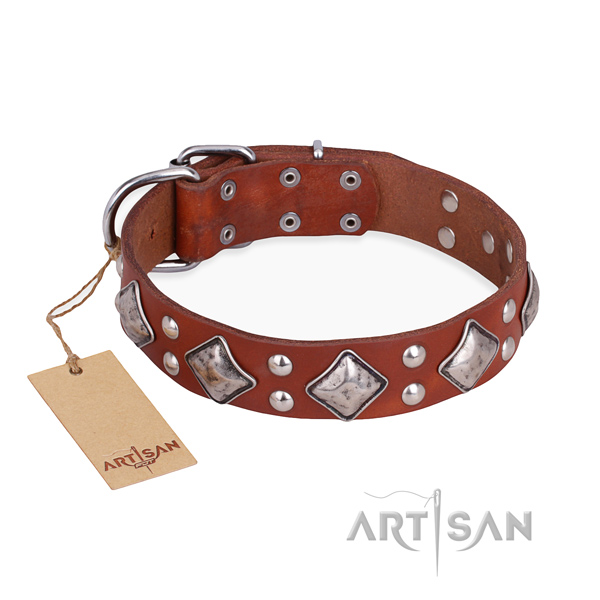 Significant design adornments on full grain natural leather dog collar