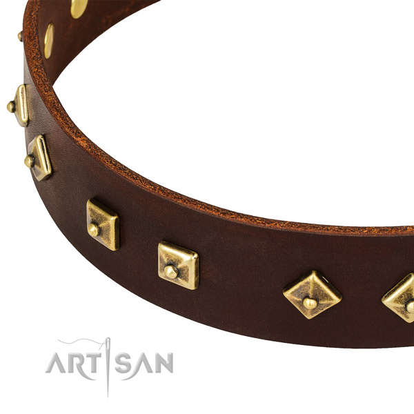 Handy use full grain genuine leather collar with corrosion proof buckle and D-ring
