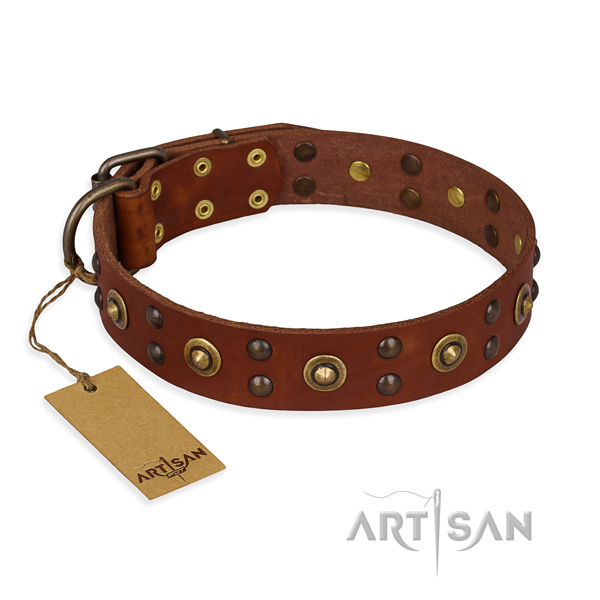 Trendy design studs on full grain leather dog collar