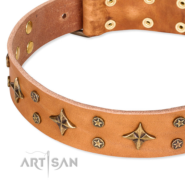 Easy to put on/off leather dog collar with resistant rust-proof fittings