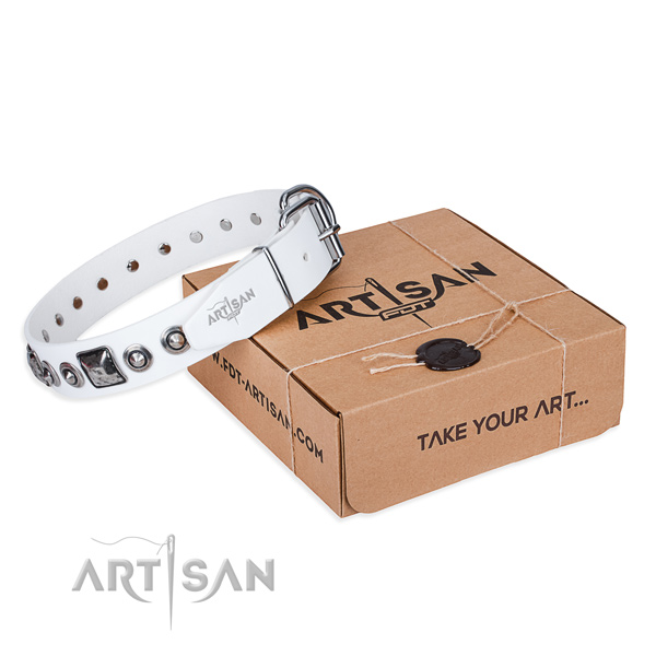 Designer full grain leather dog collar for stylish walks
