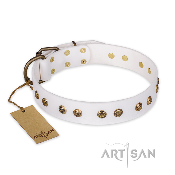 Unique design adornments on genuine leather dog collar