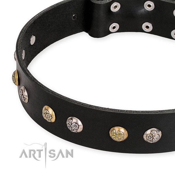 Snugly fitted leather dog collar with extra strong non-rusting fittings