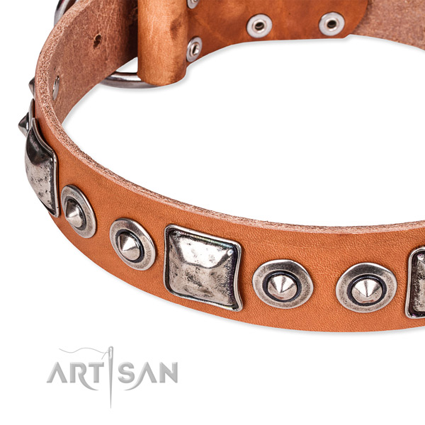 Adjustable leather dog collar with extra strong rust-proof buckle