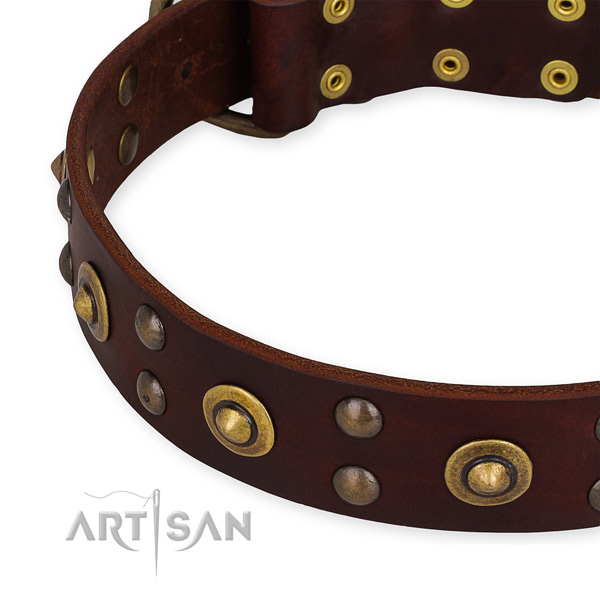 Adjustable leather dog collar with extra sturdy brass plated set of hardware