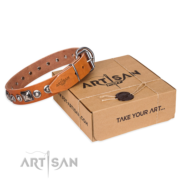 Awesome leather dog collar for everyday use