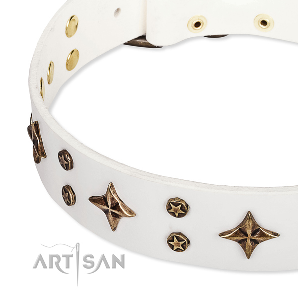 Quick to fasten leather dog collar with almost unbreakable rust-proof buckle and D-ring