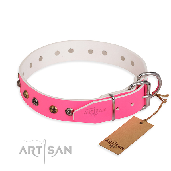 Top notch design adornments on leather dog collar