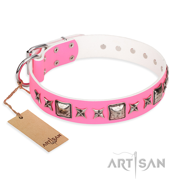 Functional leather collar for your gorgeous four-legged friend